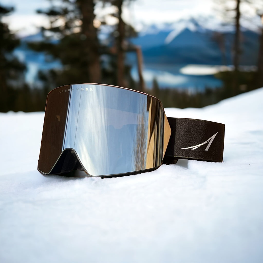 Premium X Ski Goggles
